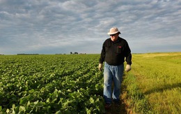 Ông Trump chi 16 tỉ đô lo cho nông dân Mỹ