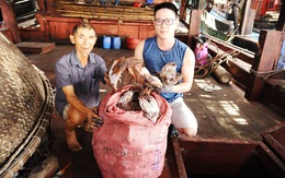 Không xuất được mực khô sang Trung Quốc, tỉnh Quảng Nam 'cầu cứu' các Bộ