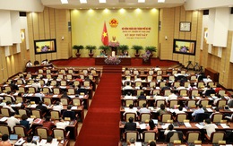 HĐND Hà Nội xem xét bãi nhiệm tư cách đại biểu cựu bí thư Huyện ủy Phúc Thọ