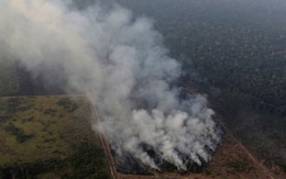 Brazil thừa nhận không đủ sức dập cháy rừng Amazon