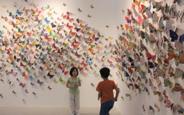 1.300 bươm bướm của những hoàn hảo - khiếm khuyết trong triển lãm ở Hà Nội