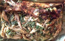 Cá bống suối nướng vùi ngon từ thịt ngọt từ xương