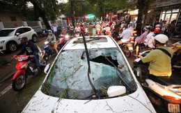 Cây đổ la liệt trên đường phố Hà Nội, 1 người chết, 1 người bị thương