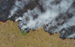 Thêm hơn 1.600 đám cháy mới tại Amazon, Brazil cấm đốt rẫy 2 tháng