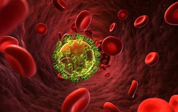 Phát hiện thêm đột biến gen có khả năng ngăn lây nhiễm HIV