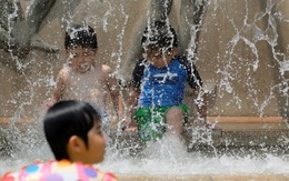Nắng nóng gay gắt, gần 60 người chết, hơn 18.000 người nhập viện ở Nhật