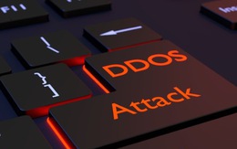 114 cuộc tấn công từ chối dịch vụ vào website Việt Nam