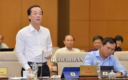 Bộ trưởng Phạm Hồng Hà: Pháp luật không quy định 'phạt cho tồn tại' nữa