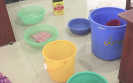 Video: Bệnh viện nghìn tỉ phải dùng chậu hứng nước mưa