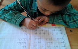 Sách Công nghệ giáo dục: Bộ GD-ĐT trả lời, PGS Nguyễn Kế Hào tiếp tục kiến nghị
