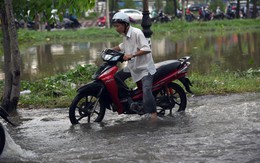 Van ngăn triều kẹt gây ngập nặng đợt triều đầu mùa