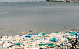 Video: Kinh hoàng rác thải nhựa trên vịnh Cam Ranh
