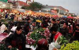 Một vòng chợ hoa tết Quảng Bá