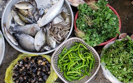 Chợ quê ở Sài Gòn - Kỳ 2: Tôm cá Tam Giang ở Sài Gòn