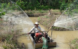 Vĩnh Long đóng cống Vũng Liêm để ngăn mặn