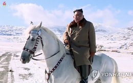 Triều Tiên chiếu phim tài liệu ông Kim Jong Un cưỡi ngựa lên núi Bạch Đầu