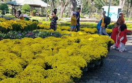 Sợ 'ngậm hàng', nhiều nhà vườn bắt đầu giảm giá hoa