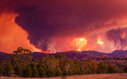 Úc tuyên bố tình trạng khẩn cấp nguy cơ cháy rừng ngay ở thủ đô