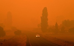 Úc buộc tội 24 người cố tình gây hỏa hoạn giữa thảm họa cháy rừng