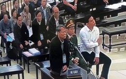 Bị cáo vụ thâu tóm đất công tại Đà Nẵng khóc tại tòa, nói ‘sợ không qua khỏi trong tù’