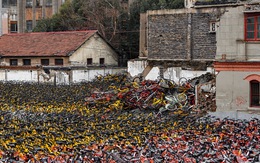 Xe đạp trong 'nghĩa địa xe' ở Trung Quốc ngày đêm kêu cứu