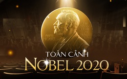 Toàn cảnh giải Nobel 2020