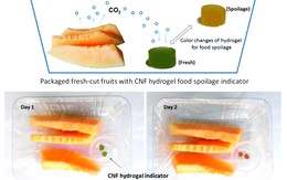 Bao bì thông minh báo cho người dùng biết thực phẩm ‘hết đát’ còn ăn được không