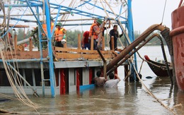 Trục vớt tàu tìm hai cha con mất tích khi chìm tàu cá trên sông Trường Giang