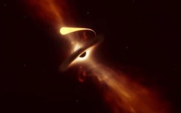 Lần đầu ghi được hố đen 'nuốt chửng' ngôi sao tương đương Mặt Trời