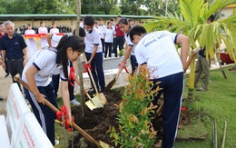 'Toyota chung tay xanh hóa học đường' nhân rộng mảng xanh tại nhiều trường học