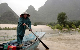 'Thay vì tặng 1 bông hoa, hãy chuyển thành quà cho bà con vùng lũ'