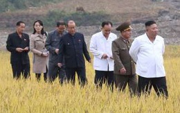 Em gái ông Kim Jong Un tái xuất hiện sau 2 tháng, thị sát vùng lũ cùng anh
