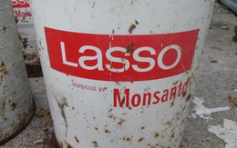 Một nông dân Pháp thắng kiện Monsanto về thuốc diệt cỏ gây bệnh tật