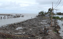 Cà Mau ban bố tình huống khẩn cấp tại 5 đoạn sạt lở đê biển Tây