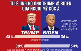 Cử tri Mỹ gốc Việt bỏ phiếu cho Trump hay Biden?