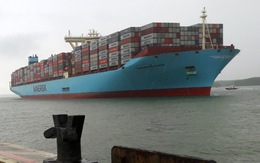 Siêu tàu container dài bằng 4 sân bóng đá cập Cái Mép - Thị Vải