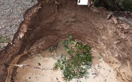 Sụt đất thành hố sâu đến 5m trong vườn nhà ở Quảng Bình