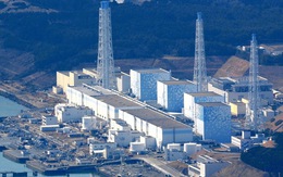Nước nhiễm xạ ở Fukushima có thể hủy hoại ADN người
