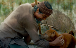 Phim 'Cậu Vàng' công bố hình ảnh đầu tiên của lão Hạc và chú chó
