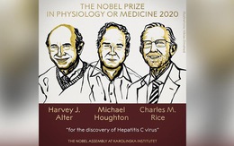 Nobel y sinh 2020 vinh danh khám phá về virus viêm gan C