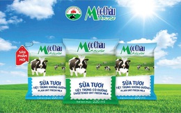 Mộc Châu Milk ra mắt sữa tươi bịch giấy mới: Trọn dinh dưỡng, thêm tiết kiệm