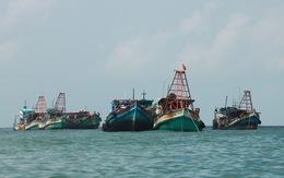 Trung Quốc cấm đánh bắt cá, Bộ Nông nghiệp đề nghị hỗ trợ ngư dân bám biển