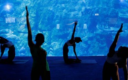 Lớp học yoga giữa 'lòng đại dương'