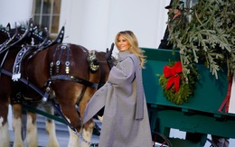 Bà Melania Trump tiếp nhận cây thông Giáng sinh Nhà Trắng 2020