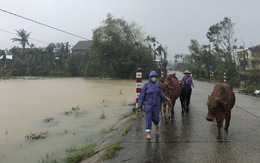 NÓNG ở Quảng Ngãi: 'Nước lên thấy rõ luôn. Tôi cõng mẹ chạy lũ, còn đồ đạc bỏ hết'