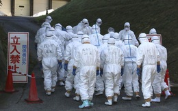 Nhật tiêu hủy 330.000 con gà sau khi phát hiện ổ dịch cúm gia cầm