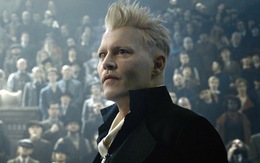Johnny Depp mất vai trong phim tiền truyện 'Harry Potter' vì thua kiện