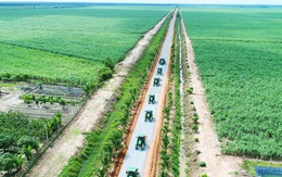 Nông sản sống khỏe nhờ công nghệ