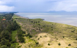 Bộ trưởng Trần Hồng Hà: 'Làm dự án Cần Giờ đã có tham khảo UNESCO'