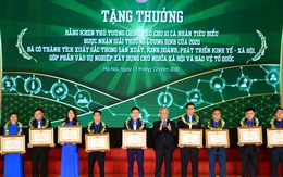 10 thanh niên nông thôn tiêu biểu nhận bằng khen của Thủ tướng